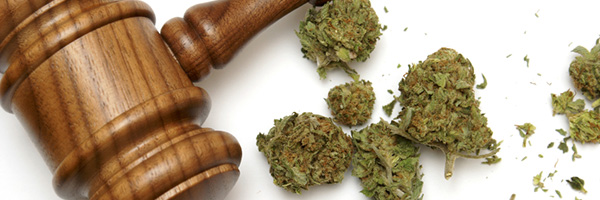 Marijuana
